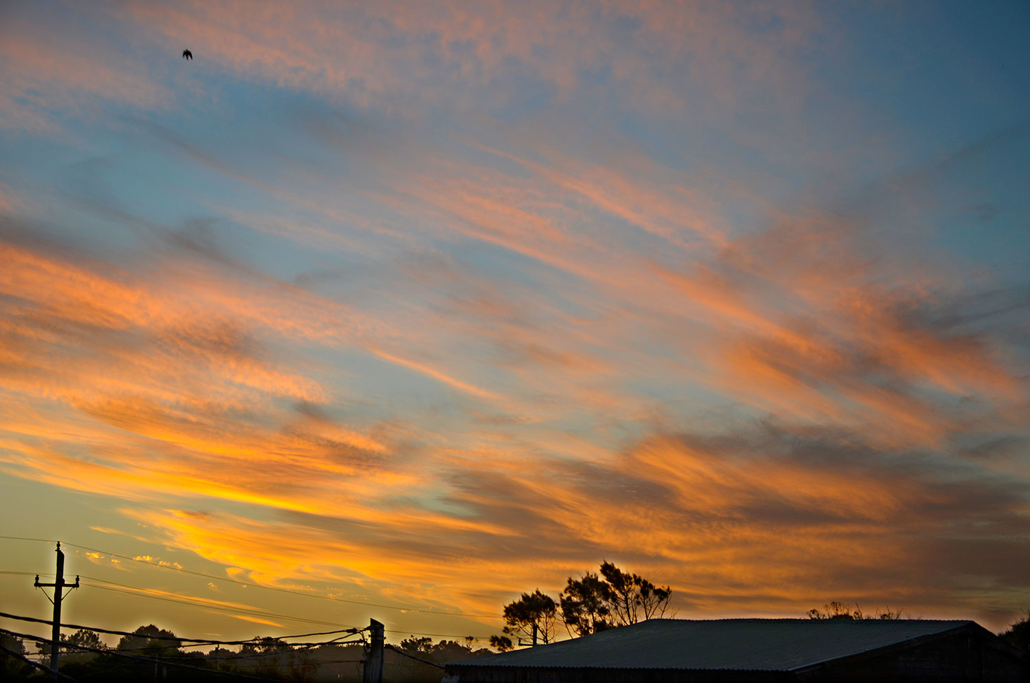 Valizas, Uruguay 2018