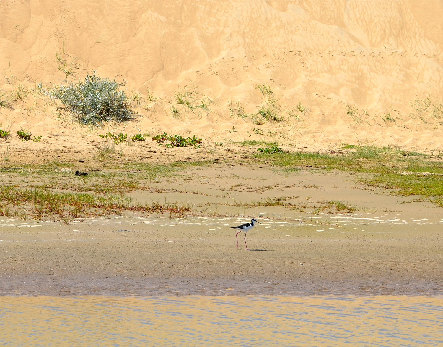 Valizas - Uruguay 2018