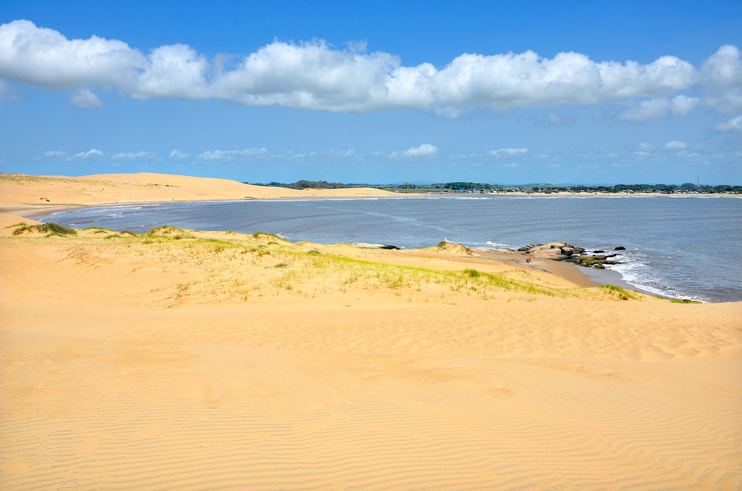 Valizas - Uruguay 2018