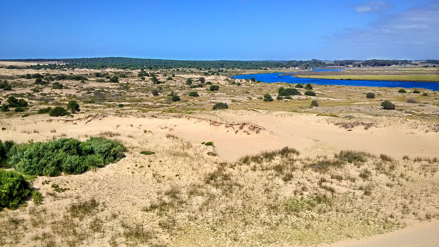 Barra de Valizas - Uruguay 2018
