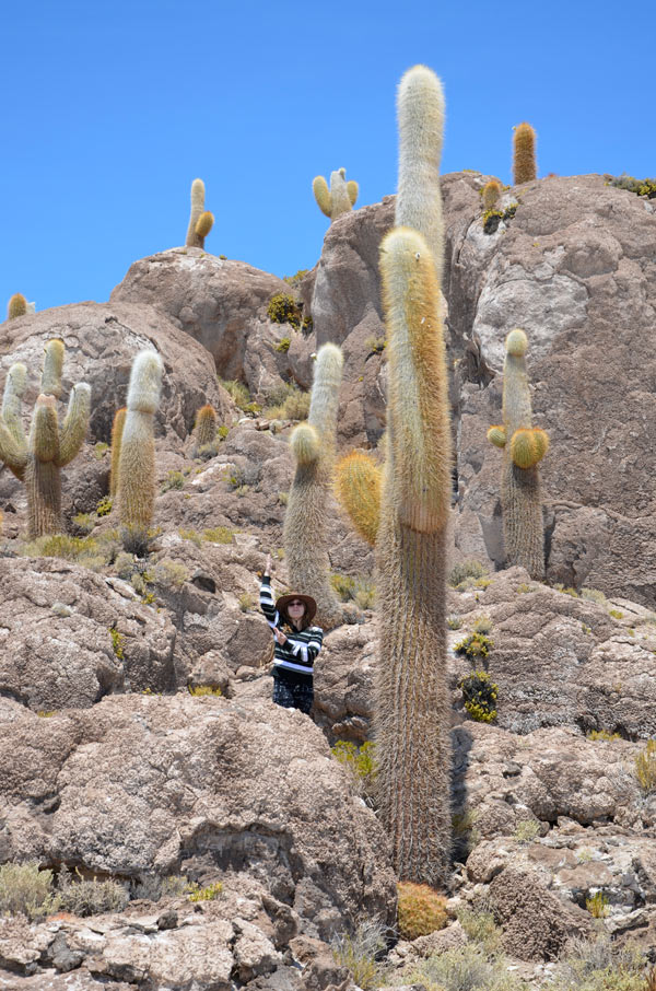 Salar Uyuni, Incahuasi
