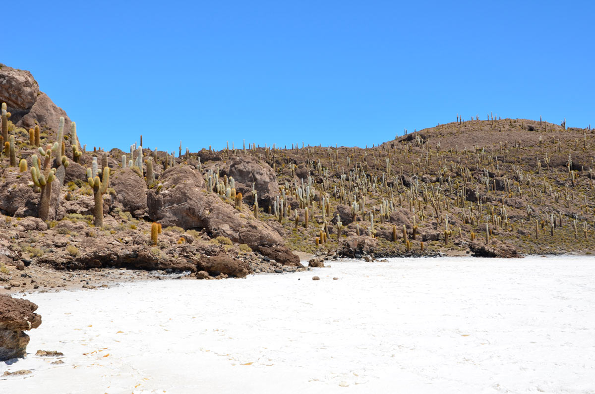 Salar de Uyuni, Incahuasi