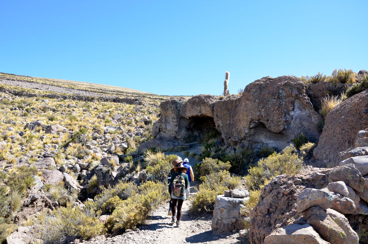 Momias Coqueza, Tunupa
